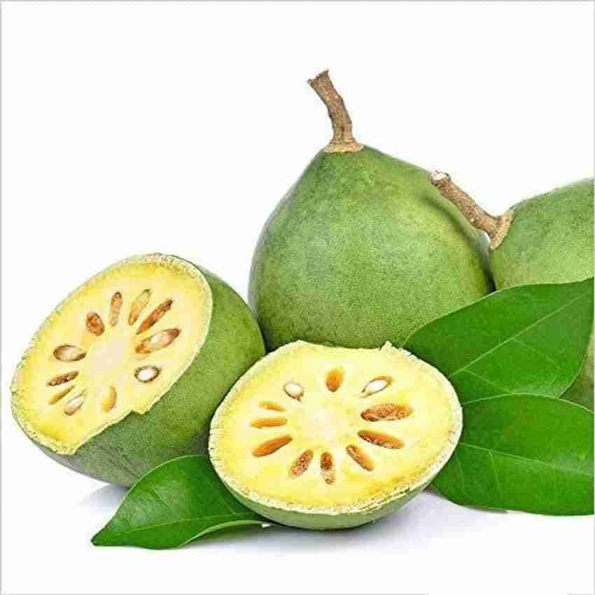 Bael Patra Benefits in Hindi